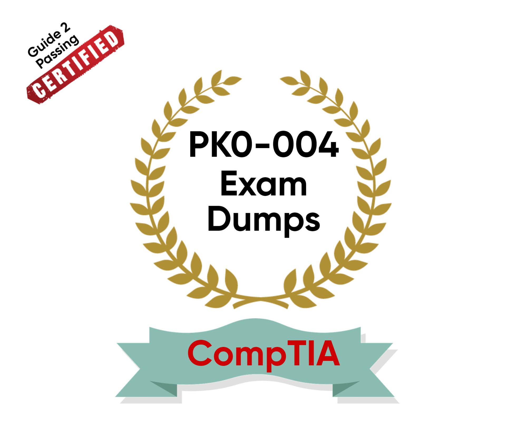 Pass Your CompTIA PK0-004 Exam Dumps From Guide 2 Passing