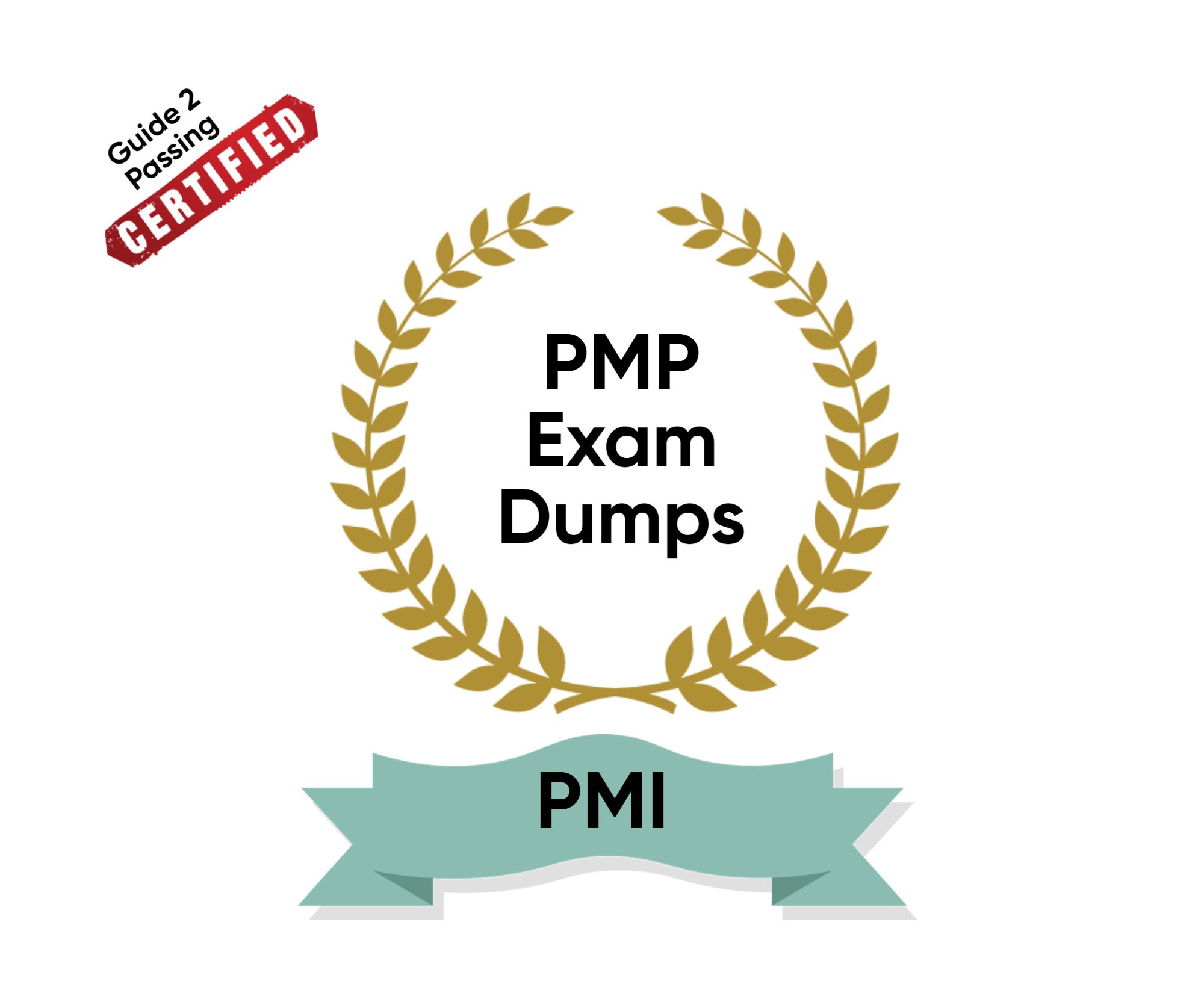 Pass Your PMI PMP Exam Dumps From Guide 2 Passing