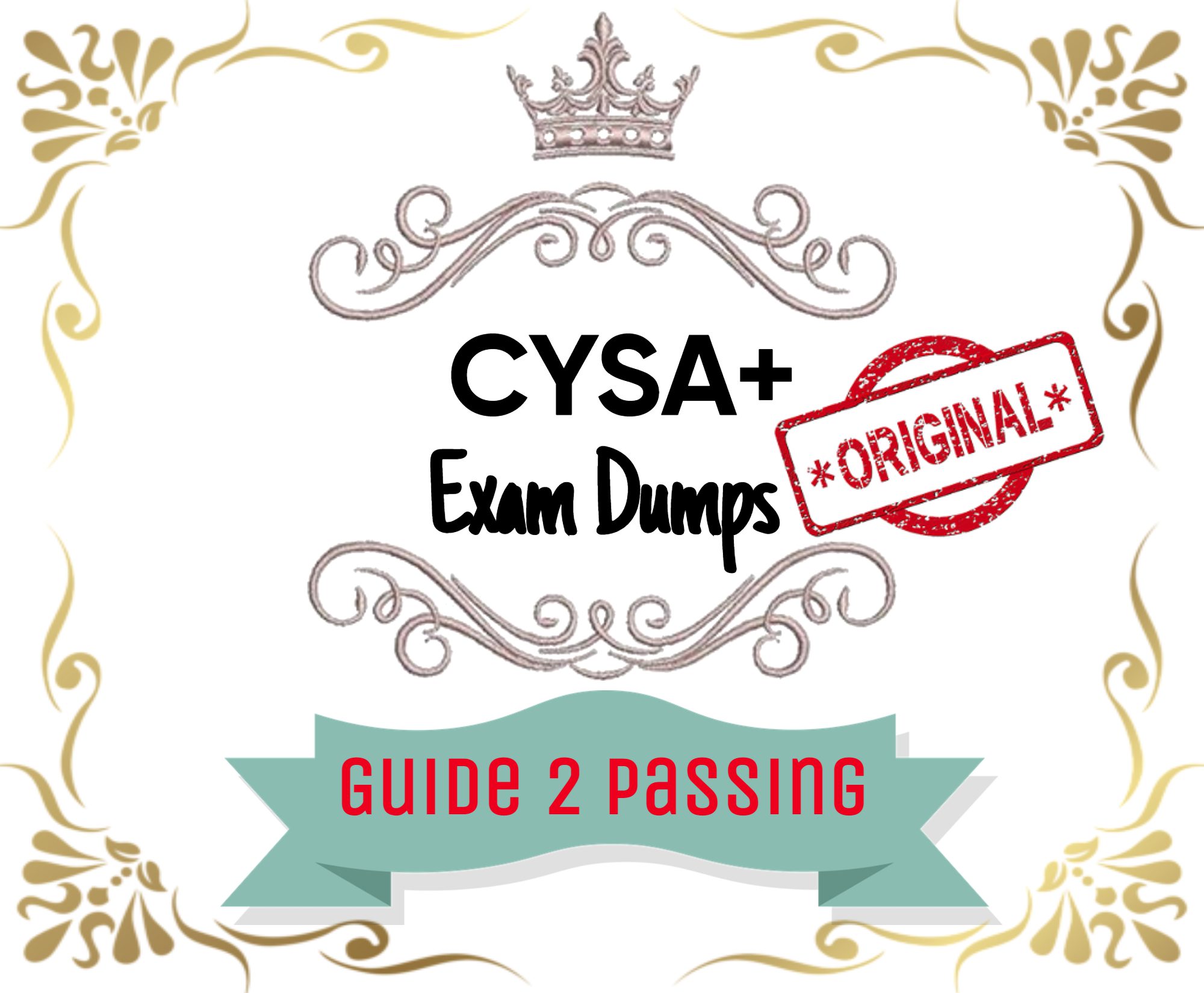 Pass Your CompTIA CySA+ Exam Dumps From Guide 2 Passing