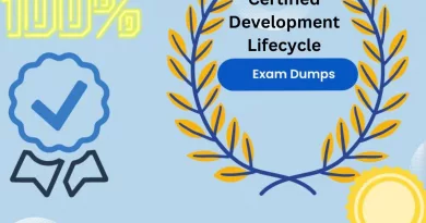 Development Lifecycle And Deployment Designer Exam Dumps